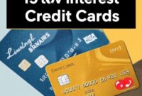 The 5 Best Low Interest Credit Cards for 2025